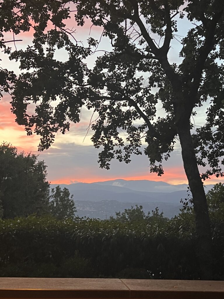 Silhouetted tree with sunset over mountains.